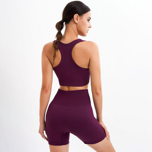 Gym Suit Push Up Women Bra Seamless Shorts - Deck Em Up